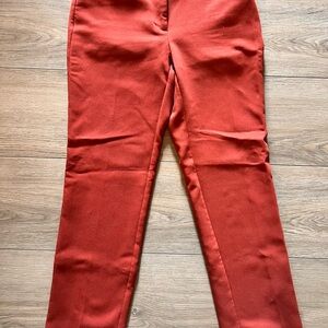 Ann Taylor Terracotta Trousers